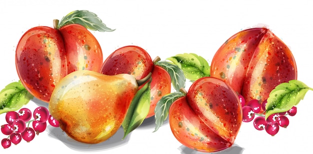 Vector apple, pear and peach watercolor set. colorful fruits detailed painted style