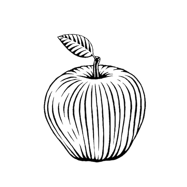 Apple Scratchboard Gegraveerde Vector