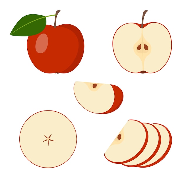 Vector apple set