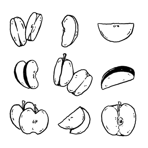 Vector apple slices hand drawn illustration