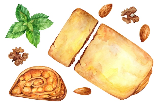 Vettore strudel di mele con noci illustrazione acquerello