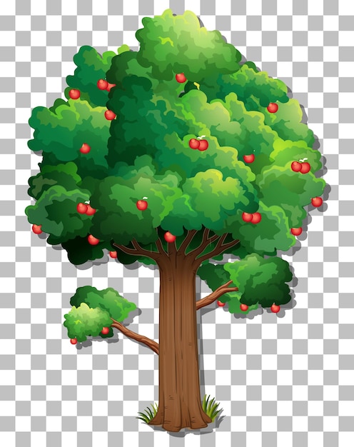 Vector apple tree on transparent