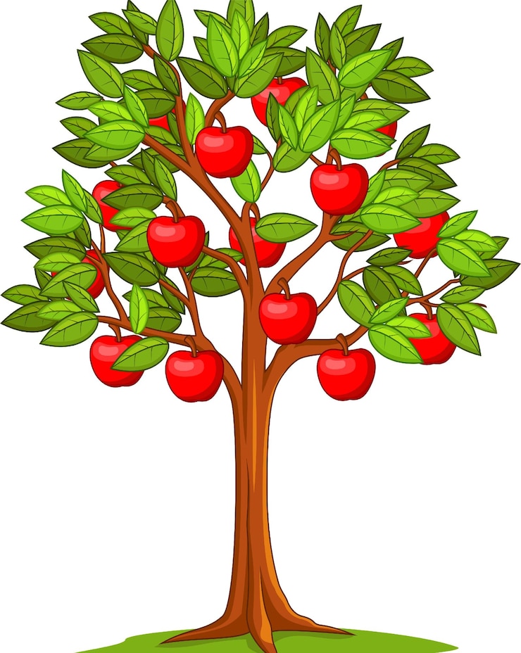 Vector apple tree