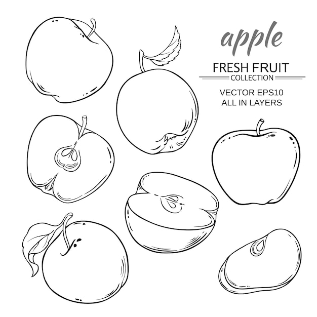 Vector apples vector set