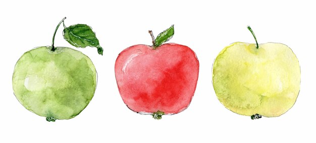 Apples watercolor clip art hand drawn illustrations in sketch style clipart
