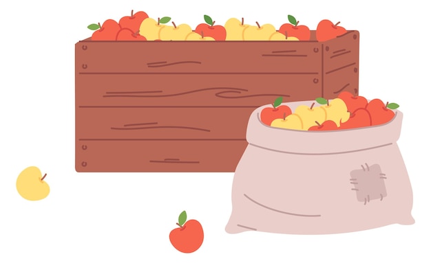 Vettore mele in scatola di legno e sacco di tela illustrazione del raccolto del giardino