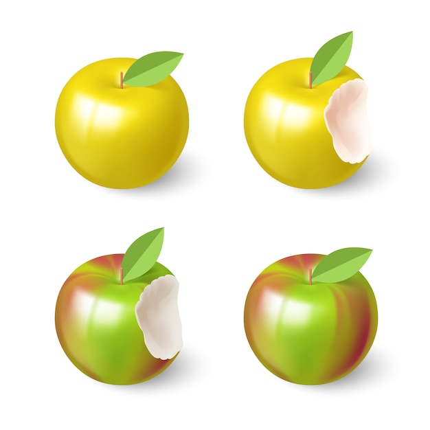 Vector apples