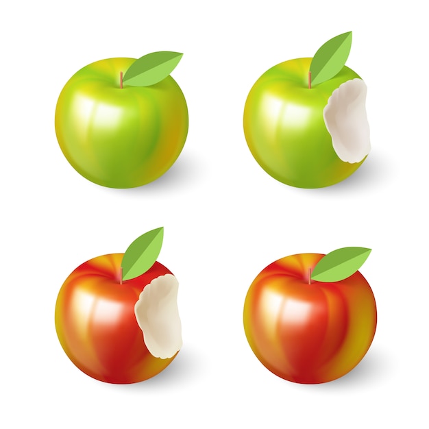 Vector apples