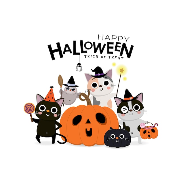 Vector appy halloween greeting card with cute cat in witch costume and decorated pumpkin