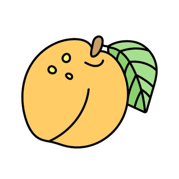 apricot in doodle style vector isolated on white background