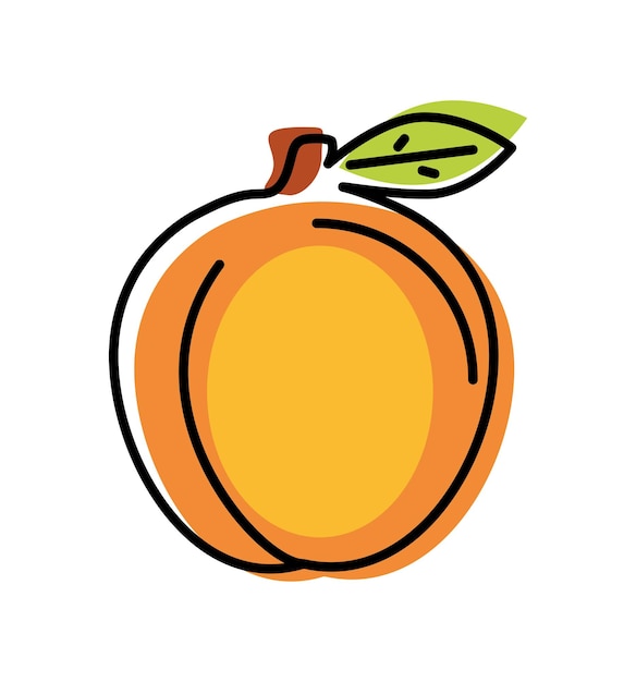 apricot fruit icon isolated illustration