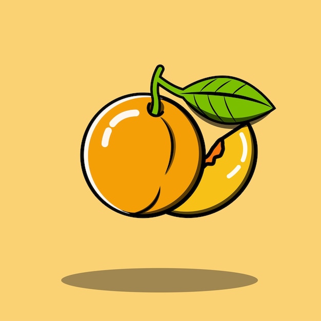 apricot fruit illustration buah aprikot