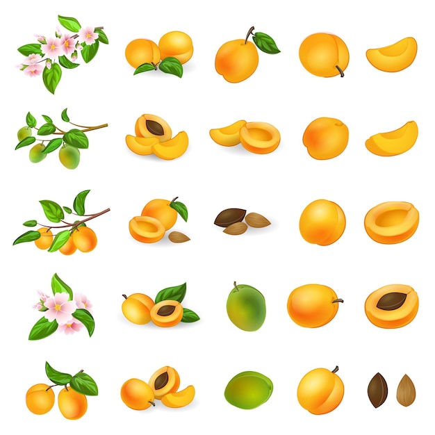 Apricot icons set cartoon vector. confiture jam