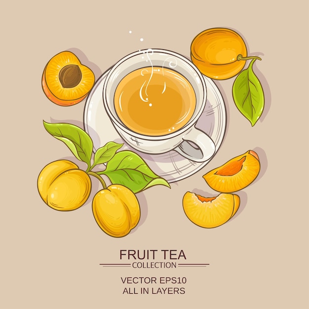 Apricot tea illustration