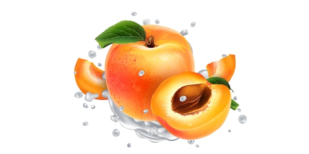 Vector apricots in splashes of yogurt or milk.