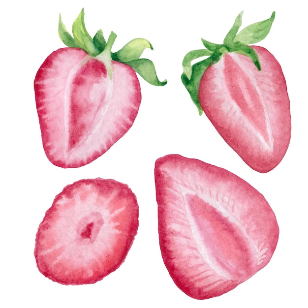 Aquarel aardbei clipart set. Hand getekende voedsel illustratie.