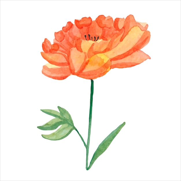 Aquarel afbeelding van bloem Aquarel vector bloemen afbeelding voor print ansichtkaart poster boek decoratie