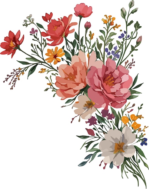 Vector aquarel anjer vrolijke bezem wilde bloemen illustratie bloem vector