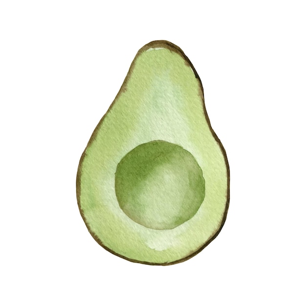 Aquarel avocado Hand getekende biologische groene avocado slice