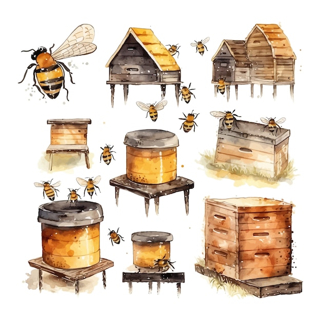Vector aquarel bijenkorven en bijenillustratie bijenteelt hand getrokken clipart elementen