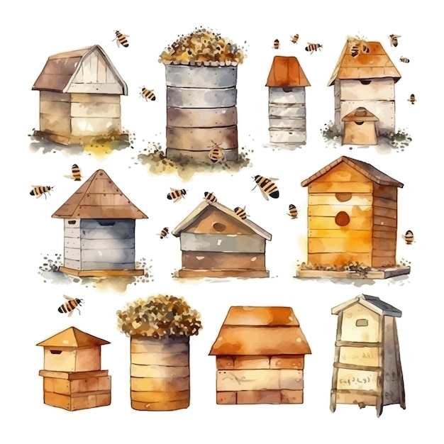 Aquarel bijenkorven en bijenillustratie Bijenteelt hand getrokken clipart elementen