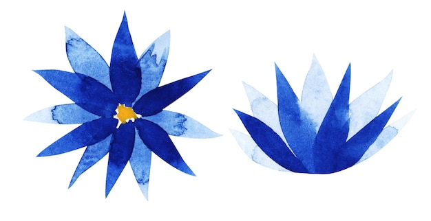 Aquarel blauwe korenbloem op mooie hand tekenen zomerbloemen illustratie