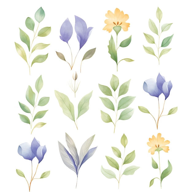 aquarel bloem bladeren clipart