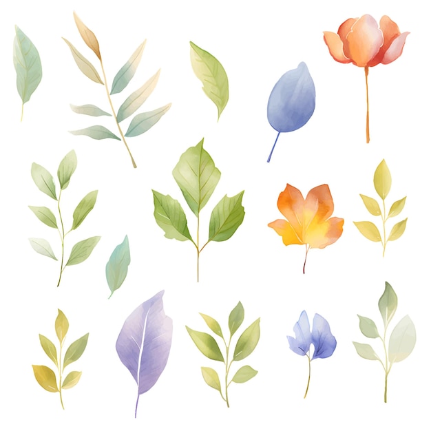 aquarel bloem bladeren clipart