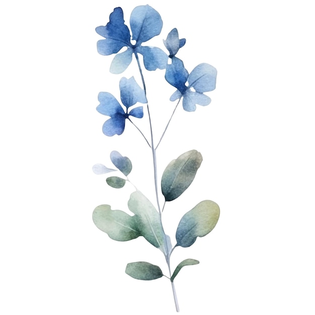 Aquarel bloem illustratie Illustratie van een blauwe en groene bloem