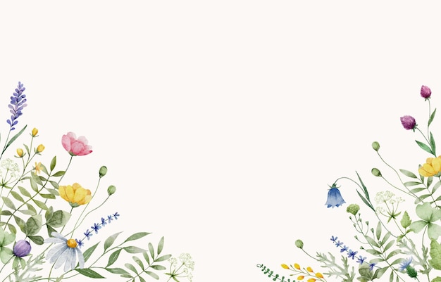 Aquarel Bloemen achtergrond met kleurrijke wilde bloemen bladeren en planten