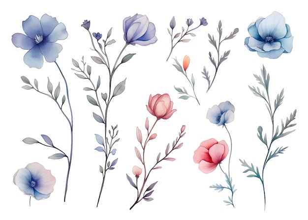 aquarel bloemen botanische illustratie clipart