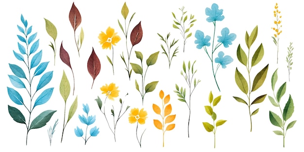 aquarel bloemen botanische illustratie clipart