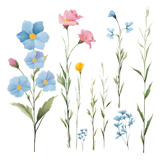 aquarel bloemen botanische illustratie clipart