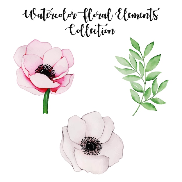 Vector aquarel bloemen elementen collectie