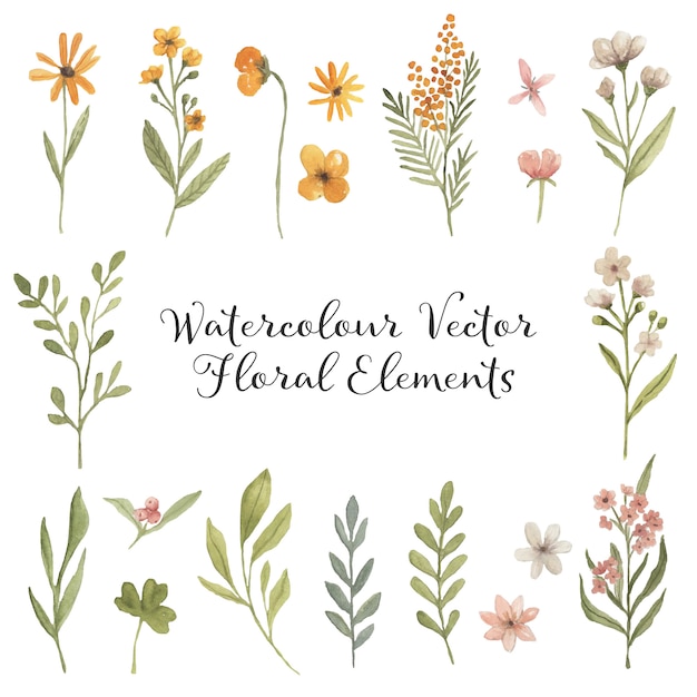 Aquarel bloemen elementen vintage botanicals