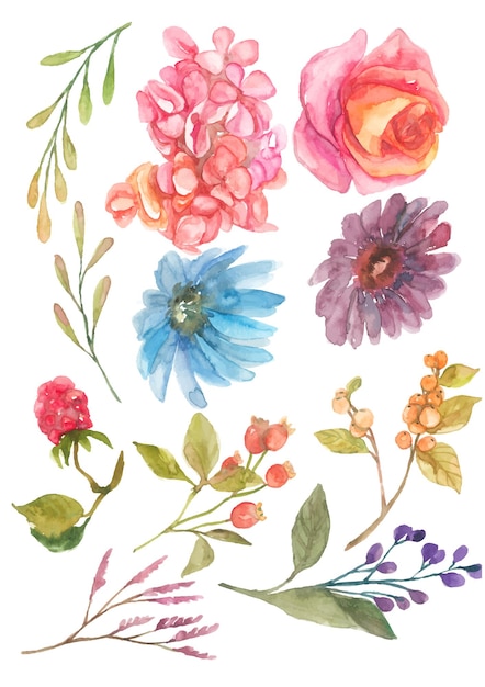 Aquarel bloemen elementen