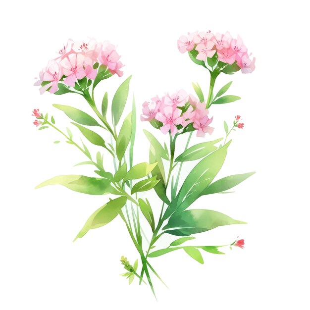 Aquarel bloemen en blad assortiment vectorset