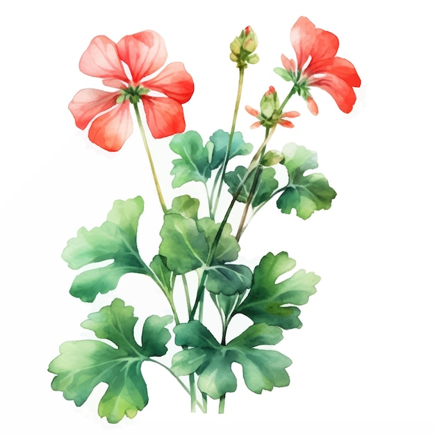 Aquarel bloemen en blad assortiment vectorset