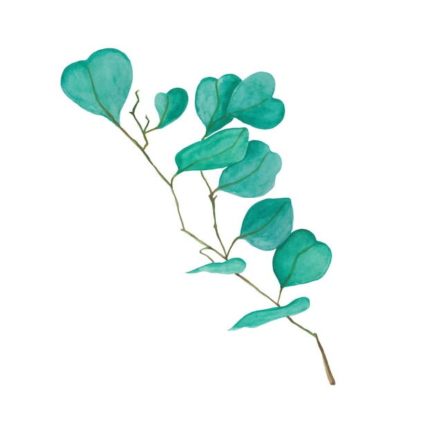 Aquarel bloemen illustratie set - groene bladtakken collectie, voor bruiloft stationair, begroeting