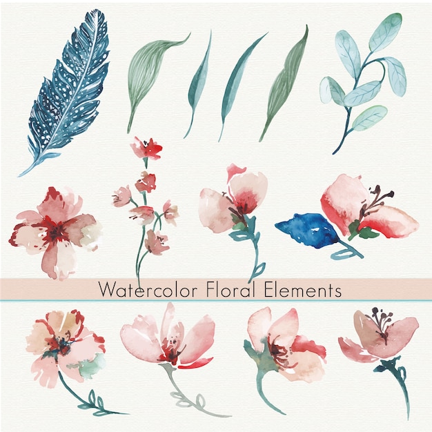 Vector aquarel bloemenelementen