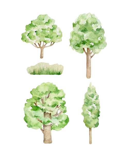 Vector aquarel bomen