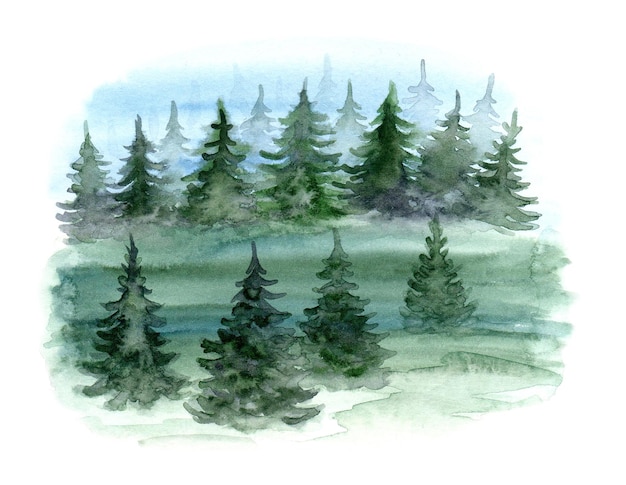 Aquarel bos bomen illustratie