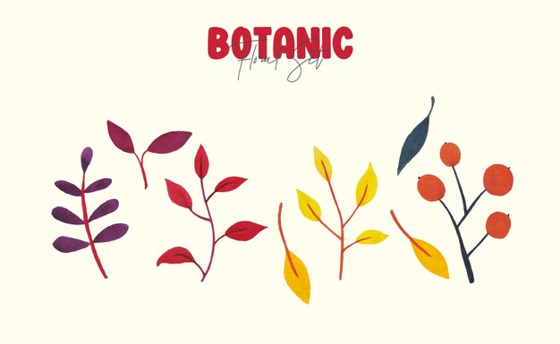 Vector aquarel botanische bloembladenset