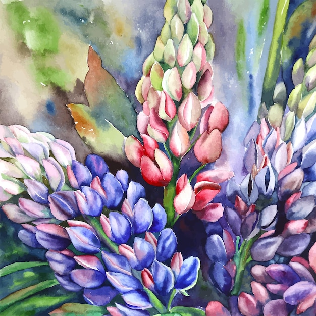 Aquarel botanische illustratie lupine bloemen violet roze lente bloeiend