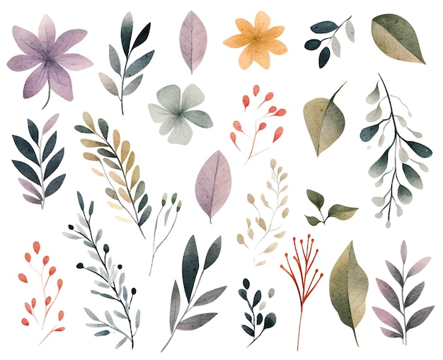 aquarel botanische illustraties set