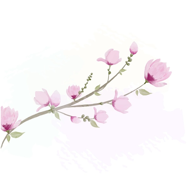 Vector aquarel botanische lente magnolia bloesem