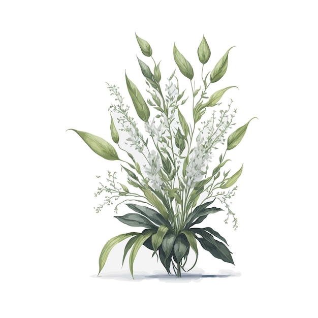 Aquarel brassia floral een eenvoudige vector
