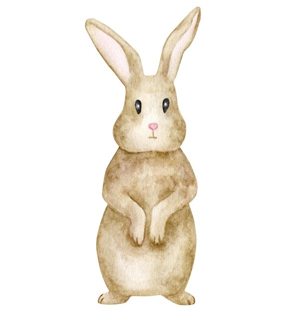 Aquarel bruin konijn staande konijntje illustratie