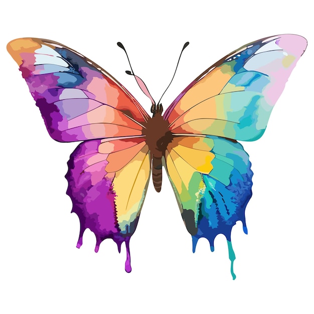 Aquarel Butterfly Clipart Ontwerp