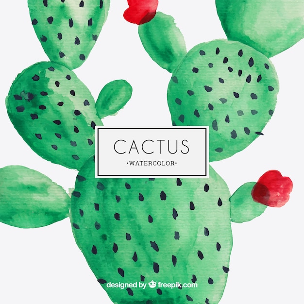 Aquarel cactus